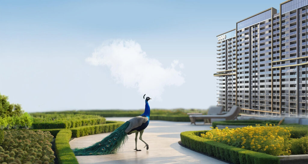 Home bptp sector 85 faridabad